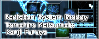 matsumoto_banner