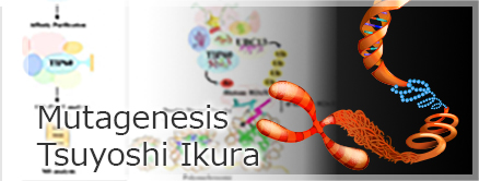 ikura_banner