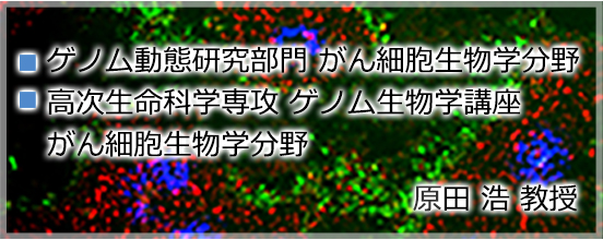 バナー1_harada