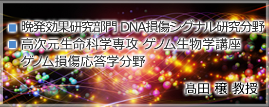 バナー3_takada