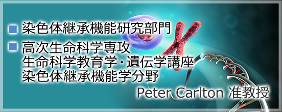 バナー6_peter