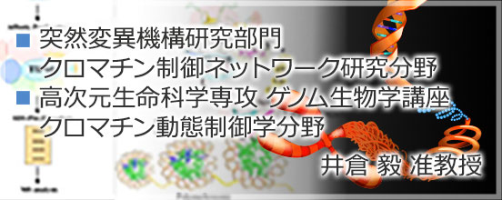 バナー4_ikura