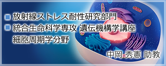 bnr5_nakoka